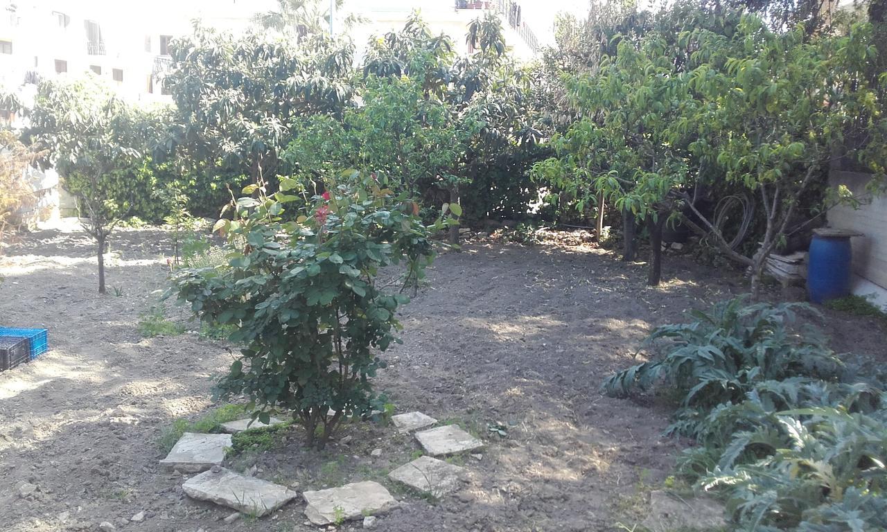 B&B La Palma Ruvo di Puglia Zewnętrze zdjęcie