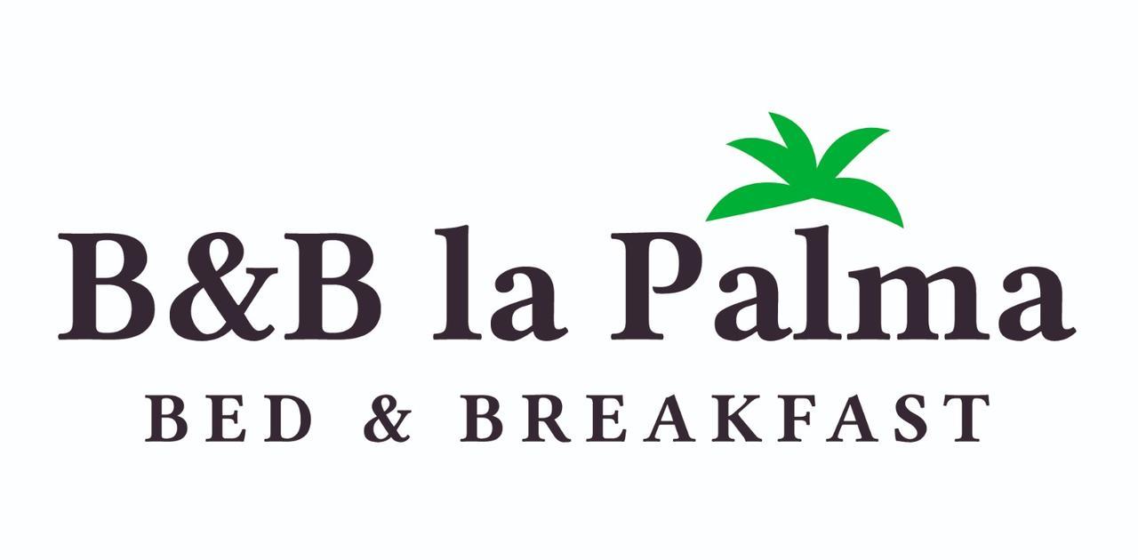 B&B La Palma Ruvo di Puglia Zewnętrze zdjęcie